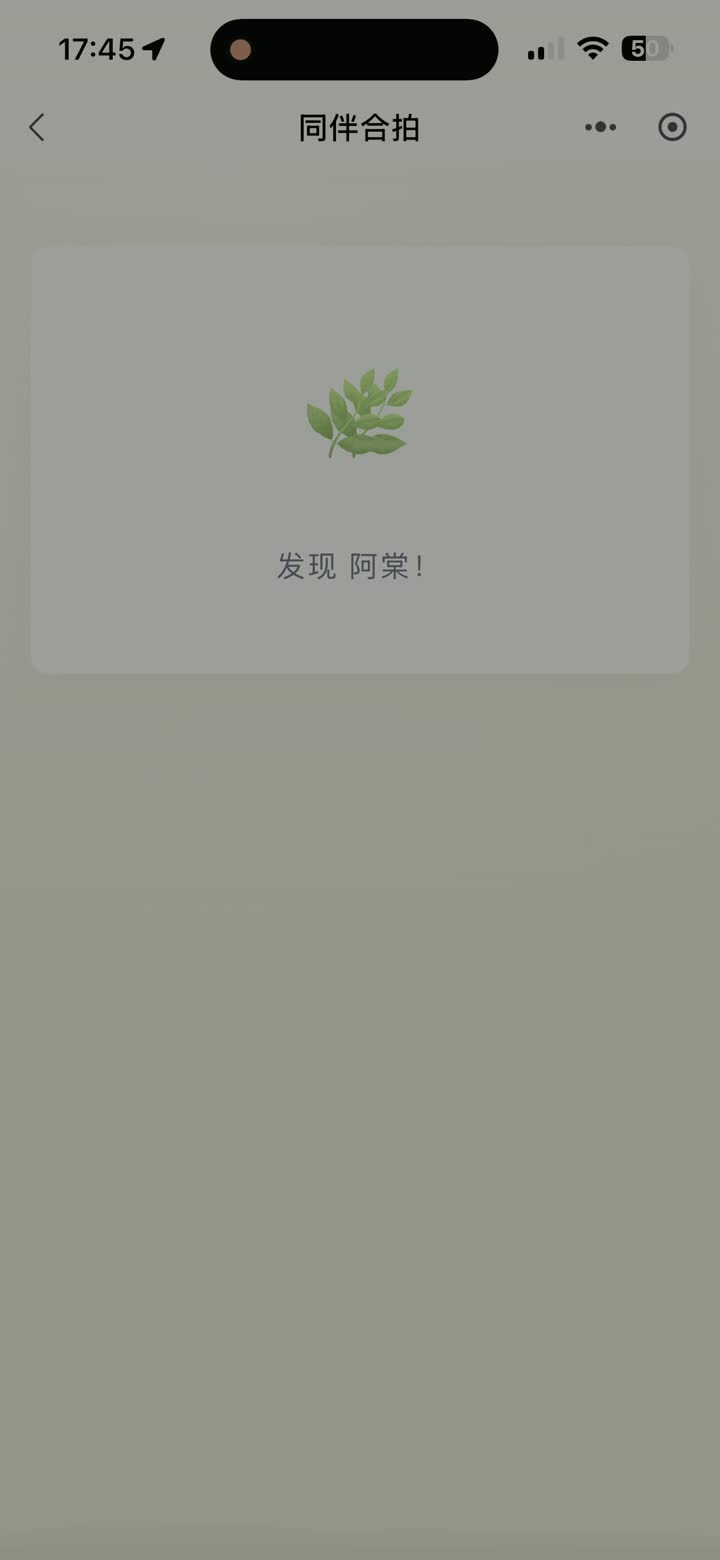同伴合拍实录